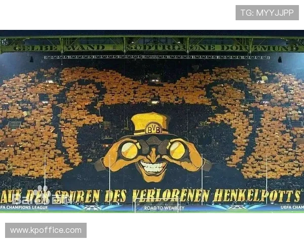 汉诺威96球迷全景Tifo庆130周年